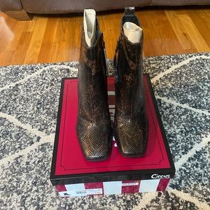 Circus by Sam Edelman Pascha Coffee Snake Print High Ankle Zip Booties Sz 7